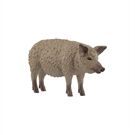 Schleich Wollschwein