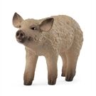 Schleich Wollschwein Ferkel