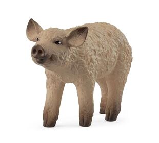 Schleich Wollschwein Ferkel
