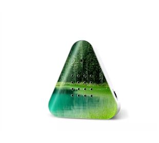 Zwitscherbox Lakesidebox Waldsee Forest Lake