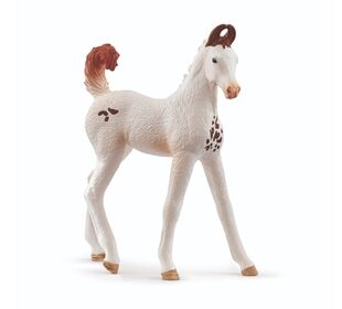Schleich Marwari Fohlen