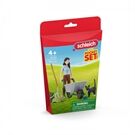 Schleich Mini-Playset Ausmist-und Pflegeset mit Emily
