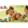 LEGO® Duplo Kreativer Blumengarten