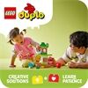 LEGO® Duplo Baum zum Balancieren und Stap