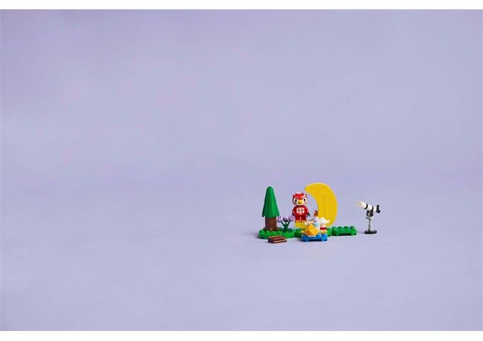 LEGO® LGO Animal Crossing Sternbeobachtun