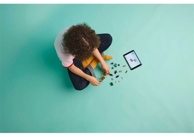 LEGO® MCR Die Illager-Wüstenpatrouille