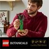 LEGO® LGO Glücks-Bambus