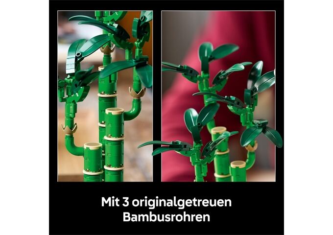 LEGO® LGO Glücks-Bambus