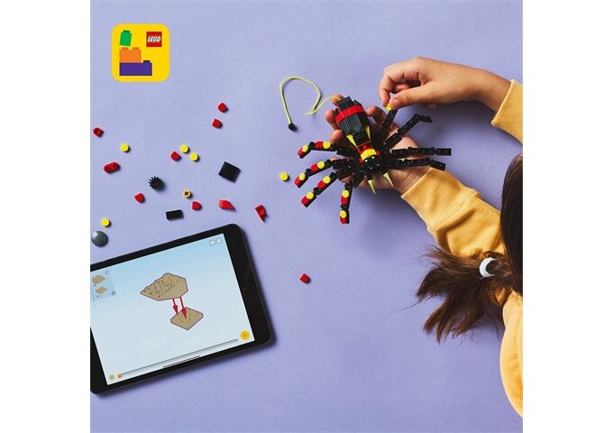 LEGO® Creator Wilde Tiere ; Überraschungss