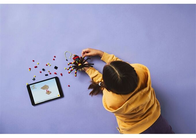 LEGO® Creator Wilde Tiere ; Überraschungss