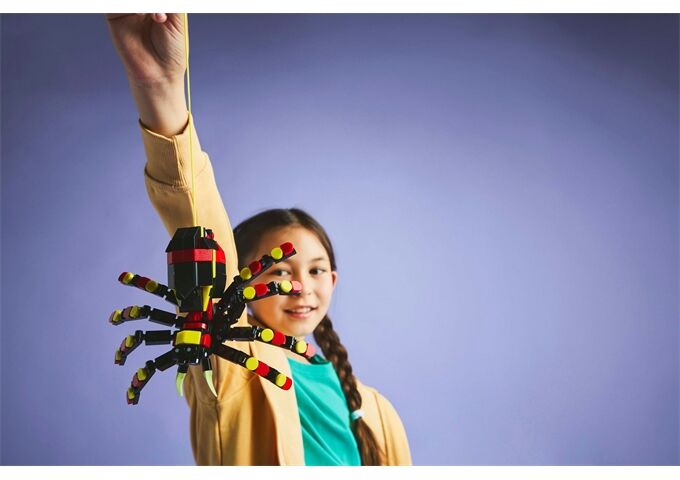 LEGO® Creator Wilde Tiere ; Überraschungss