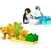 LEGO® Duplo Wildtier-Familien ; Pinguineu
