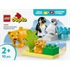 LEGO® Duplo Wildtier-Familien ; Pinguineu