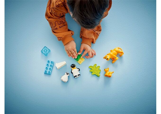 LEGO® Duplo Wildtier-Familien ; Pinguineu