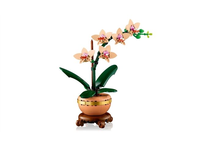 LEGO® LGO Mini-Orchidee