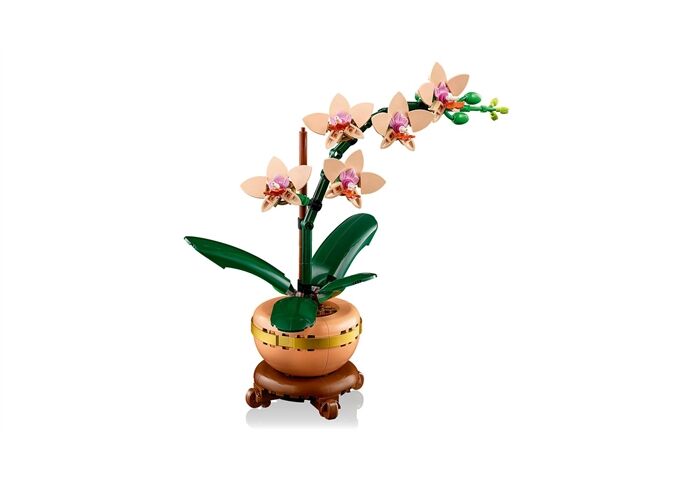 LEGO® LGO Mini-Orchidee