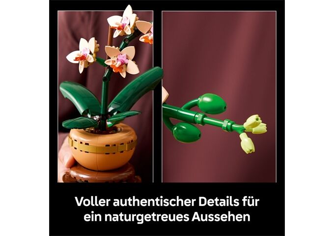 LEGO® LGO Mini-Orchidee