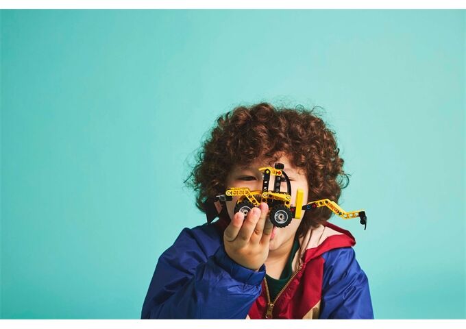 LEGO® Technic Baggerlader