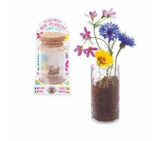 TRENDHAUS Blume Pflanzset
