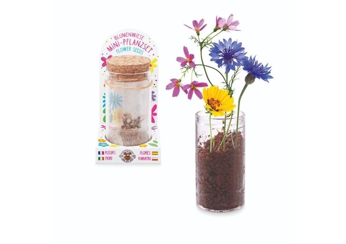 TRENDHAUS Blume Pflanzset