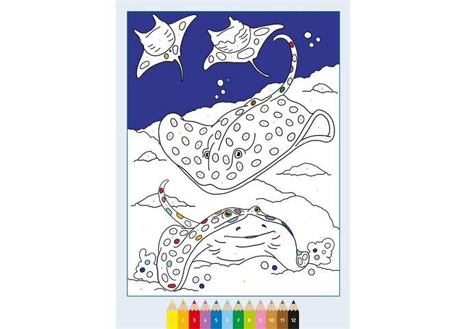 Ravensburger Creart Malen Nach Zahlen Ab 7 Im Meer