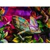 Ravensburger Chameleon