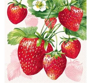 ihr Ideal Home Range STRAWBERRY FRUITS cream Cocktail-Servietten