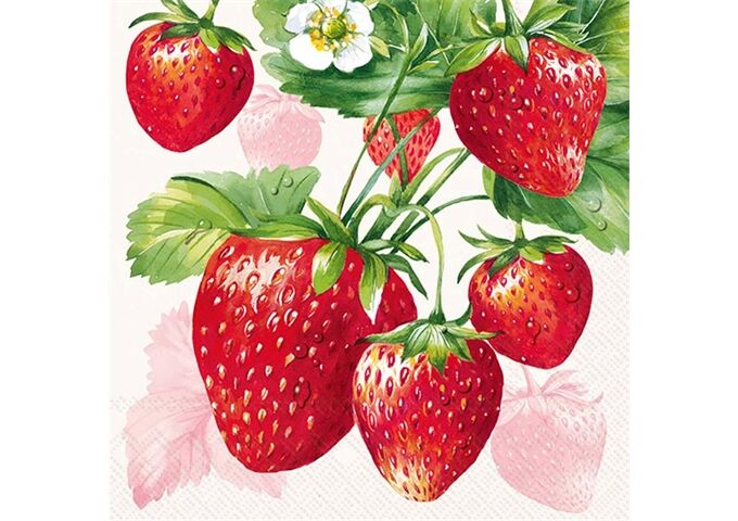 ihr Ideal Home Range STRAWBERRY FRUITS cream Cocktail-Servietten