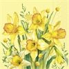 ihr Ideal Home Range NARCISSUS BOUQUET yellow Lunch-Servietten