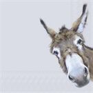 ihr Ideal Home Range DONKEY GONZO grey Lunch-Servietten