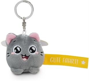 Nici SA Katze Gute Fahrt