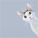 ihr Ideal Home Range CAT STELLA light blue Lunch-Servietten