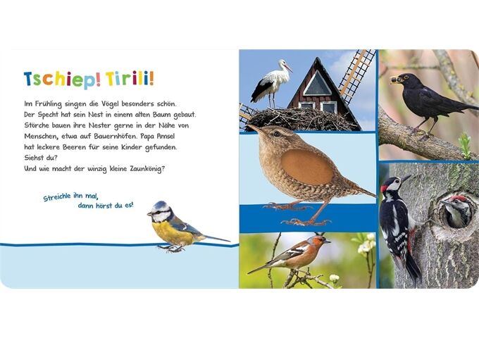 arsEdition Bilderbuch Hör mal rein - Im Frühling