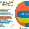 Schildkröt Schildkröt Beachball Tropical