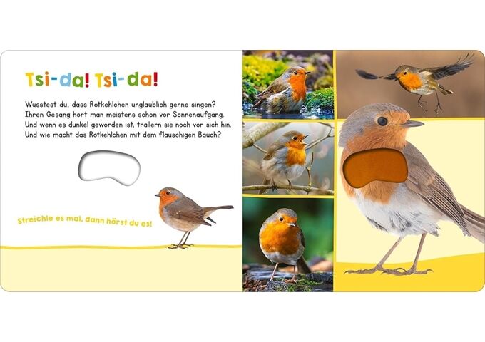 arsEdition H r mal rein, wer kann das sein V ;DE