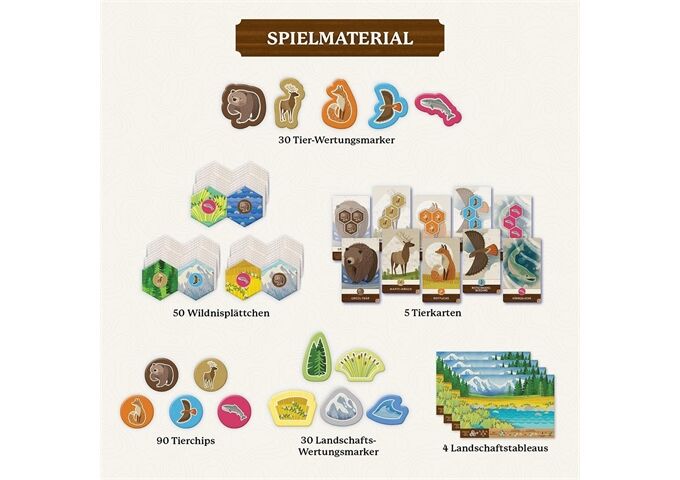 Kosmos Cascadia Junior