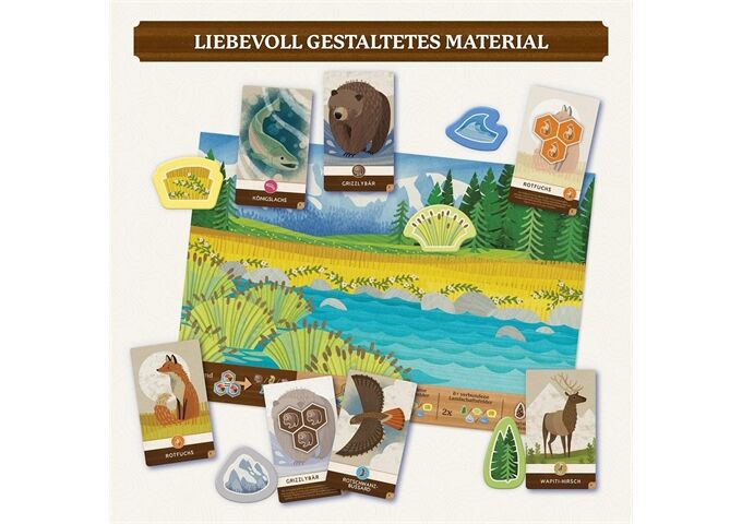 Kosmos Cascadia Junior