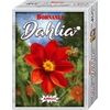 Amigo Bohnanza - Dahlia