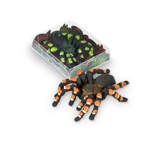 TRENDHAUS Figurenradierer Vogelspinne sortiert