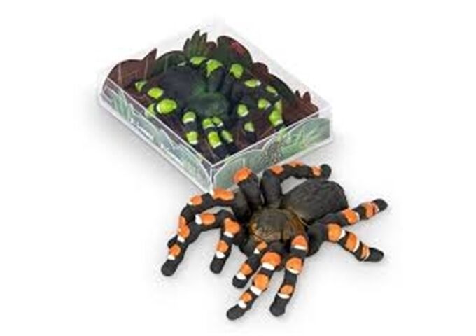 TRENDHAUS Figurenradierer Vogelspinne sortiert