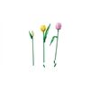 LEGO® Botanicals Tulpenstrauß