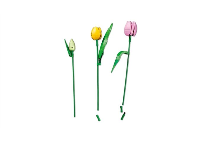 LEGO® Botanicals Tulpenstrauß
