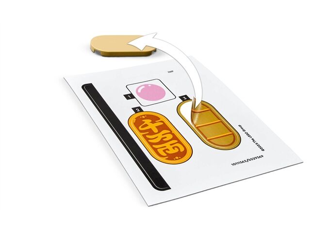 LEGO® Seasons Glückskatze