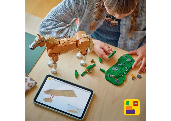 LEGO® Creator Prächtiges Ross