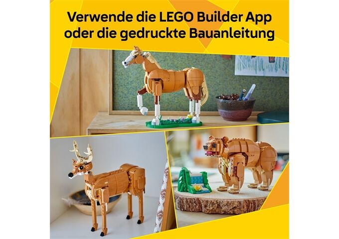 LEGO® Creator Prächtiges Ross