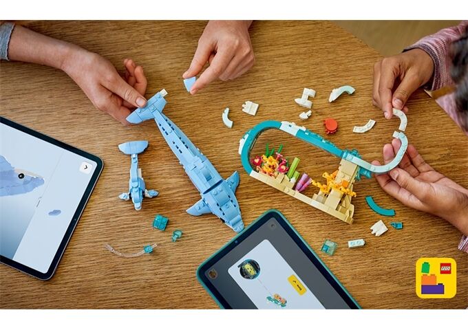 LEGO® Creator Meerestiere Wunderschöne Delfin