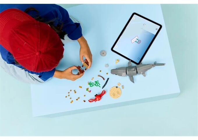 LEGO® Creator Wilder Hai Mit Schatztruhe