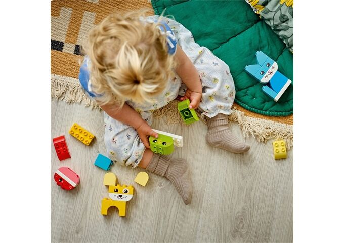 LEGO® Duplo 3-In-1 Kreative Tiere