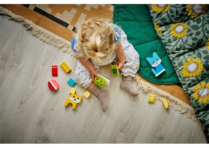 LEGO® Duplo 3-In-1 Kreative Tiere