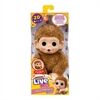  LLP MB S3 Mini Monkey